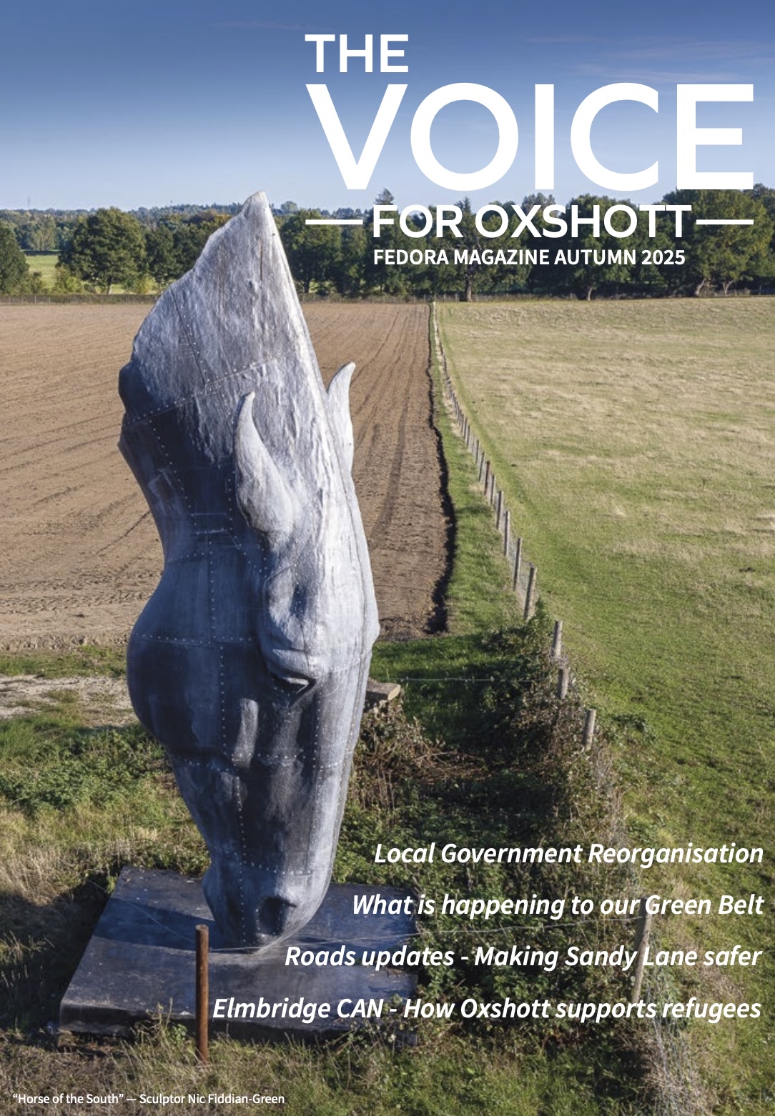 Autumn 2024 cover - a tree bare of leaves in a field