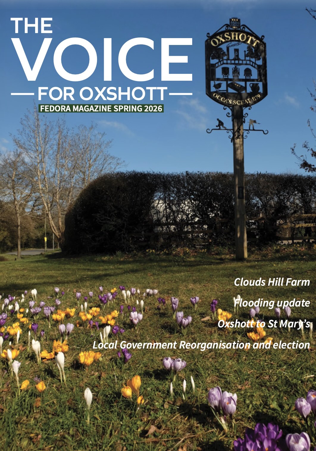 Autumn 2024 cover - a tree bare of leaves in a field